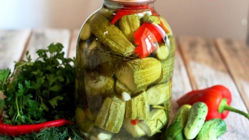 Features of pickling large cucumbers