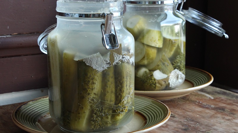 Why mold could appear on pickles and what to do about it