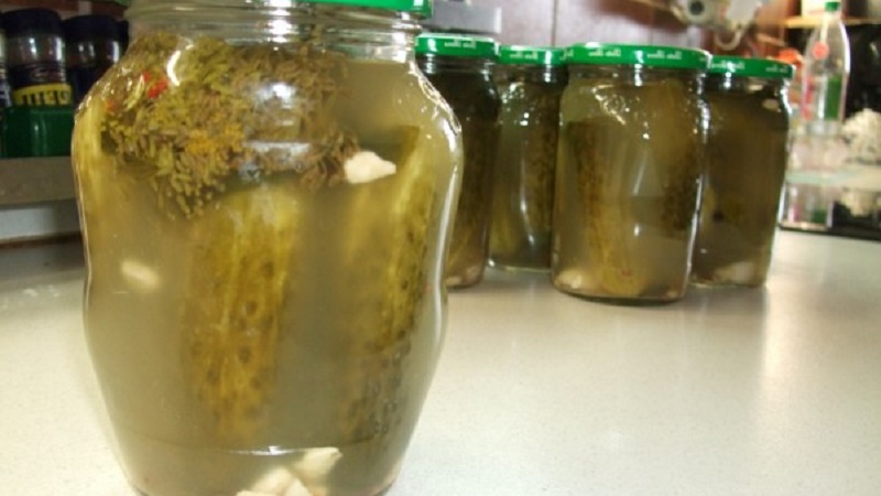 Why mold could appear on pickles and what to do about it