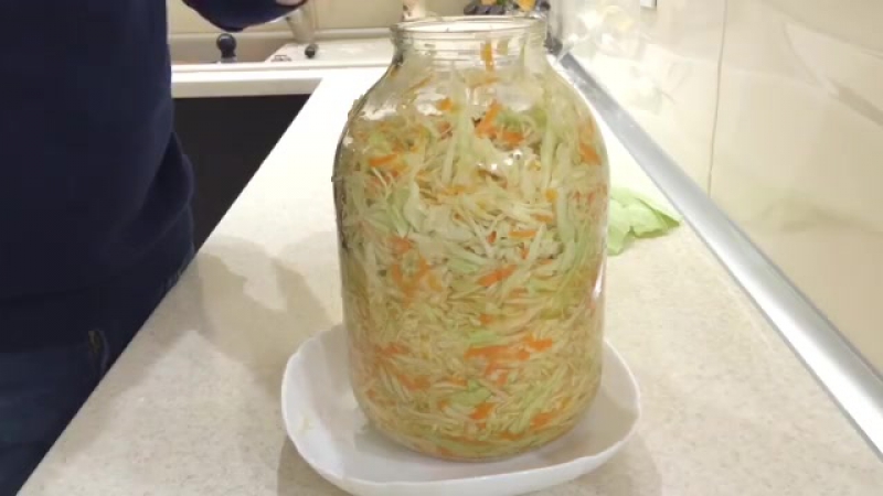 A selection of the best sauerkraut recipes in its own juice