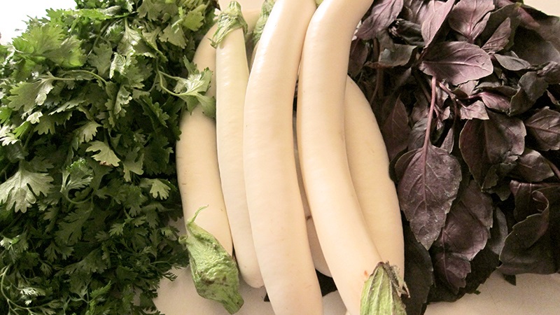 A selection of the best varieties of eggplant for a polycarbonate greenhouse