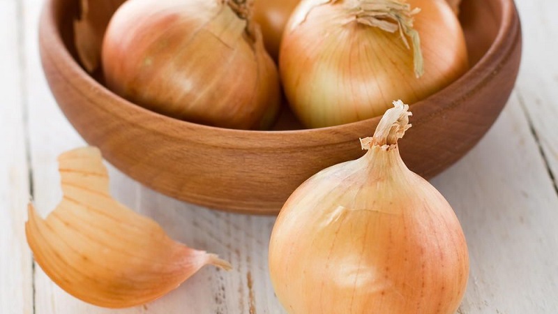 Useful properties of stewed onions for the body and the most delicious recipes