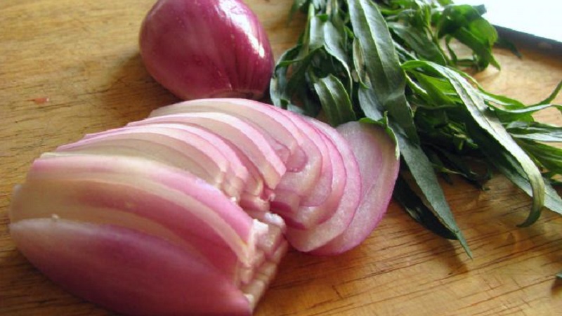 Useful properties of stewed onions for the body and the most delicious recipes