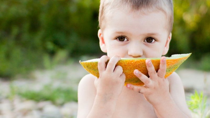 The benefits and harms of melon for the body