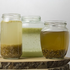 The benefits and harms of sprouted rye for humans