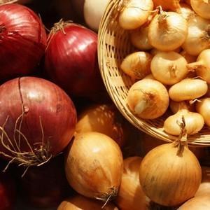 Step-by-step instructions on how to keep onions for the winter at home