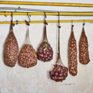 Step-by-step instructions on how to keep onions for the winter at home