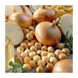 Step-by-step instructions on how to keep onions for the winter at home