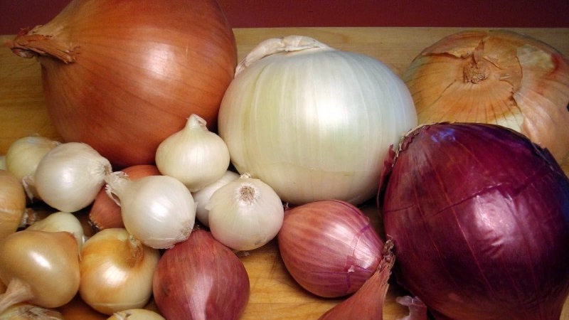 The reasons why you want onions: what is enough for the body