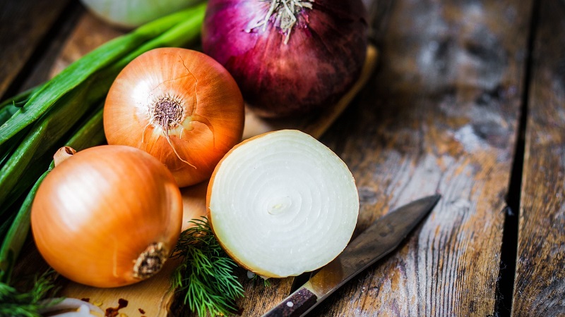 The reasons why you want onions: what is enough for the body