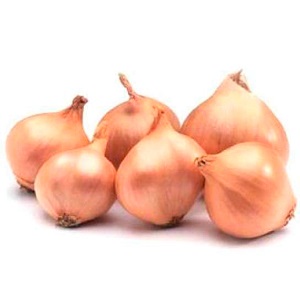 Early ripe, frost-resistant winter variety of Shakespeare onions