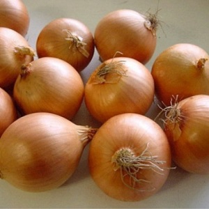 An early ripe onion variety for universal use Strigunovsky local