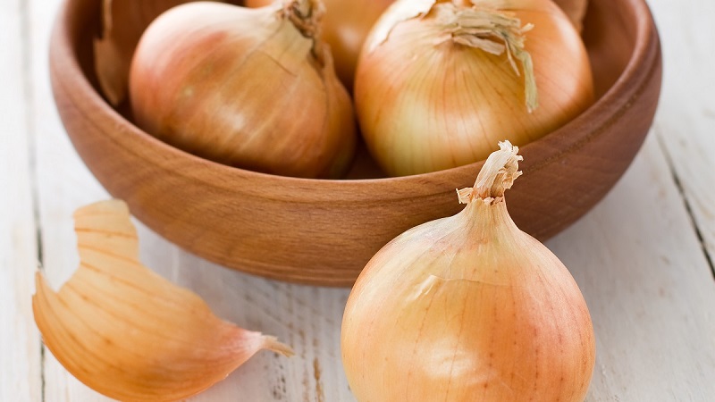 An early ripe onion variety for universal use Strigunovsky local