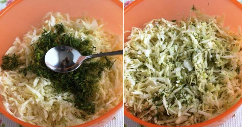 A selection of the best recipes for sauerkraut with dill and its seeds