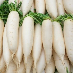 Varieties of white carrots and their beneficial properties for the human body