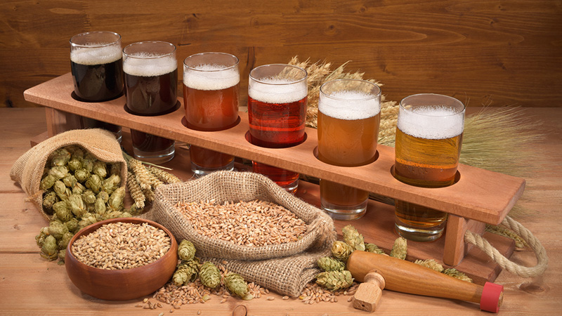 Characteristics and description of the Vakula barley variety