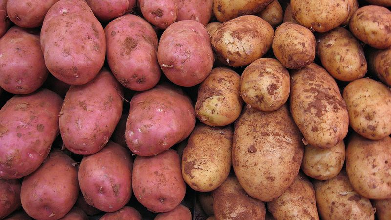 Comparison of rice and potatoes: which is healthier and more nutritious