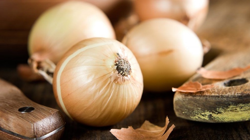 A mid-season onion variety with good frost tolerance Chalcedony