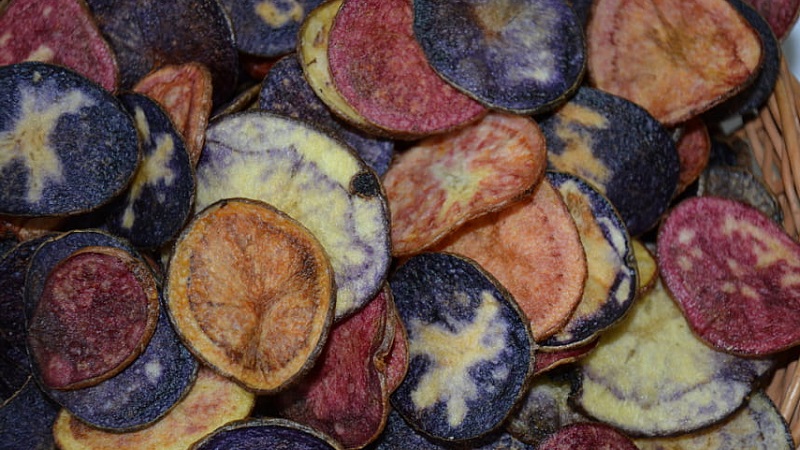 Amazing colored potatoes: varieties of varieties and their beneficial properties