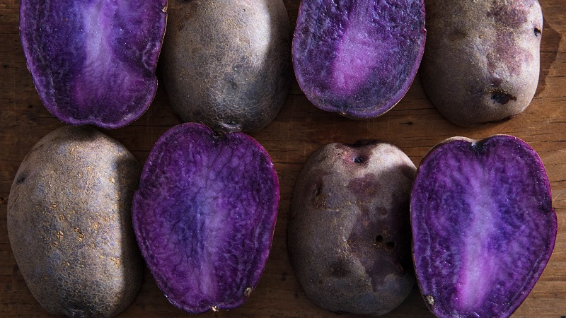 Amazing colored potatoes: varieties of varieties and their beneficial properties