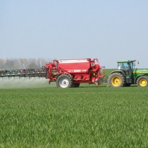 Fertilizers for winter wheat: how to feed in the fall