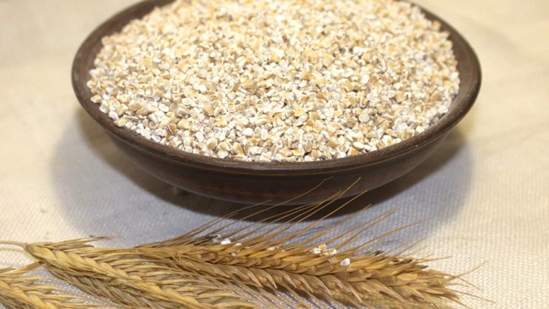 What is the Difference Between Barley, Wheat and Other Grains