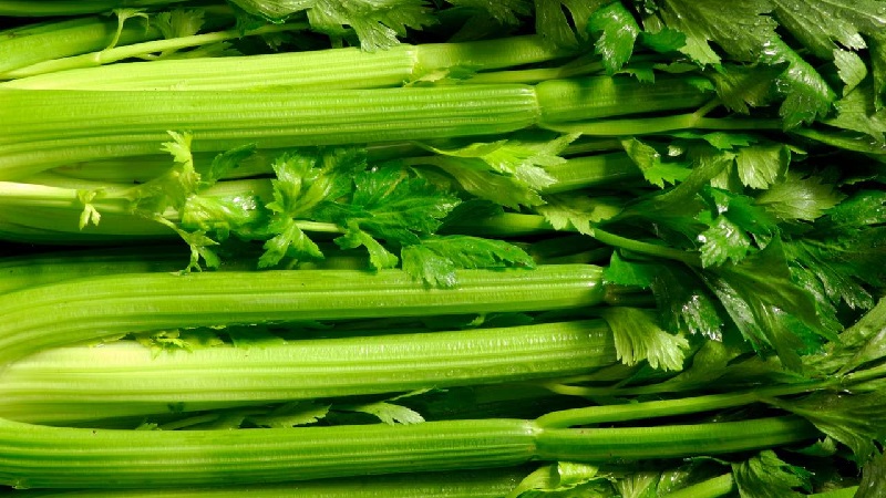 What types of celery are and how they differ