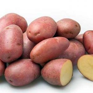 The excellent taste of red potatoes: what are its features and what types are there