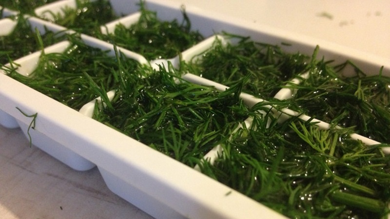 Is it possible to store parsley in the freezer: how to freeze it correctly for the winter