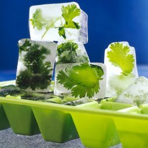 Is it possible to store parsley in the freezer: how to freeze it correctly for the winter