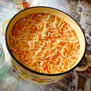 Simple, quick and very tasty recipes for salting cabbage for the winter