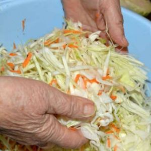 Simple, quick and very tasty recipes for salting cabbage for the winter
