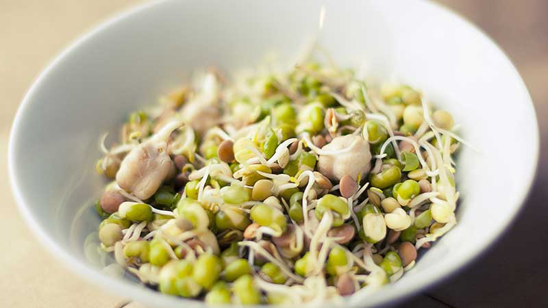 The benefits and harms of green buckwheat for the human body