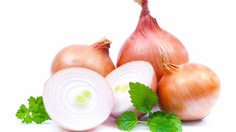 How to cook and use onions with honey for cough
