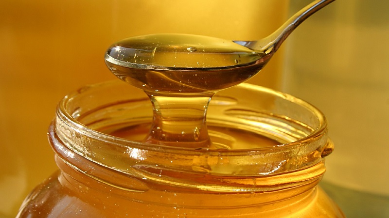 How to cook and use onions with honey for cough