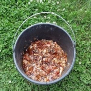 Why is onion peel decoction useful and how it can be used