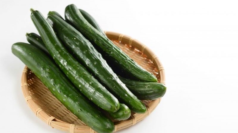 The best varieties of Chinese cucumbers: description and photo
