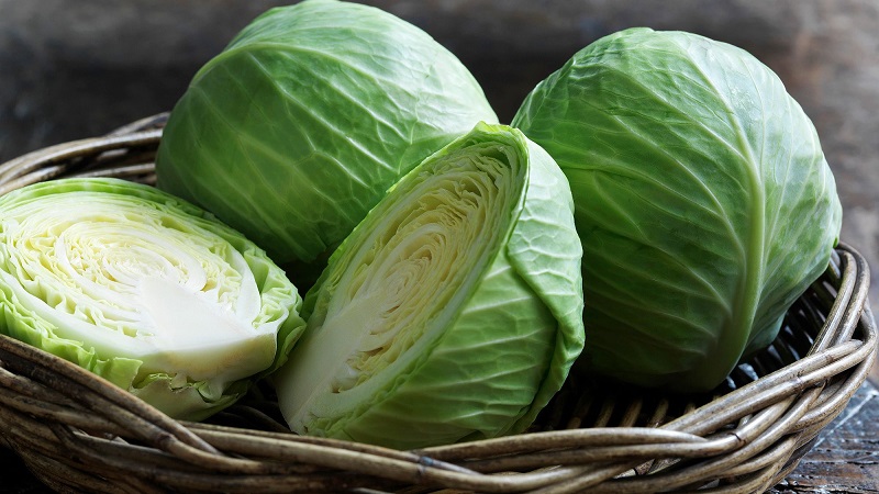 Quick and delicious sauerkraut recipes in 3 days