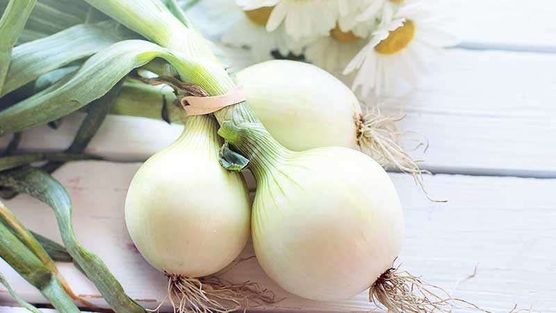 What happens if you eat onions every day
