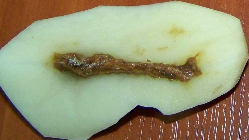 What to do if the potatoes inside became empty and why this happens