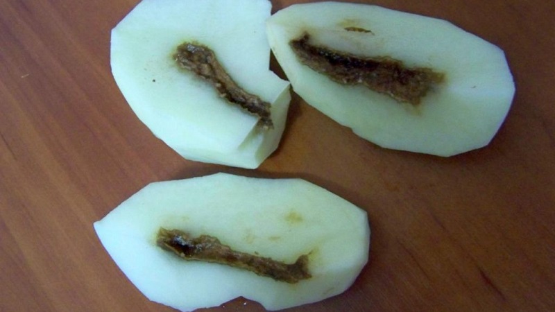 What to do if the potatoes inside became empty and why this happens