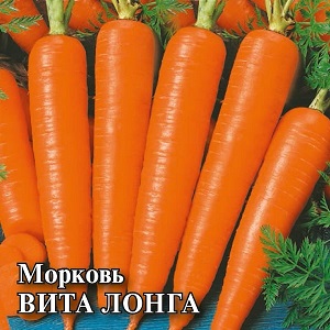 What carrots Vita Long and Bangor F1 have in common
