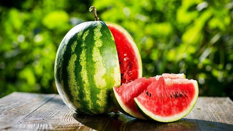 What is a watermelon: what family the fruits belong to, what are they and how are they useful?