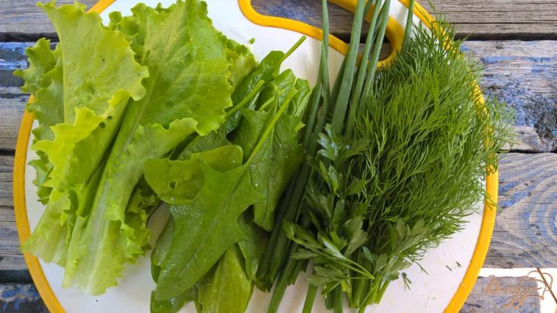 What is garden dill and its characteristics
