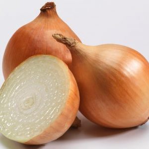 An early, high-yielding hybrid of Cupido onions for greenhouse and outdoor cultivation