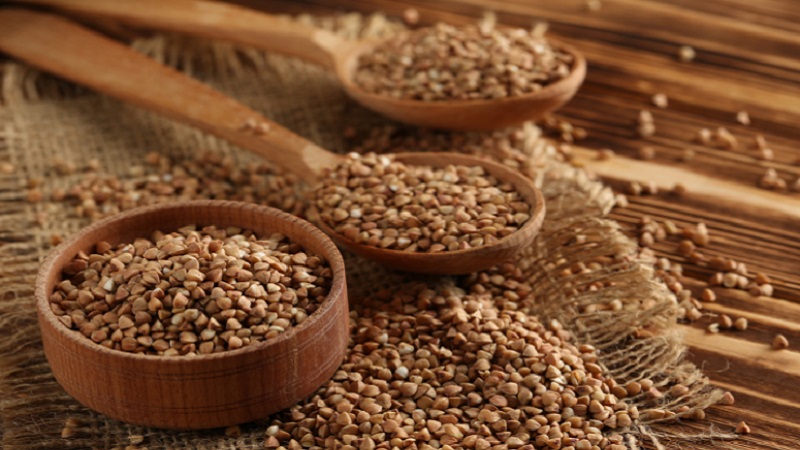 How to properly store buckwheat at home and what is the maximum shelf life
