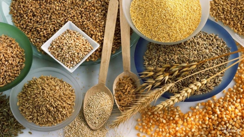 How to properly store buckwheat at home and what is the maximum shelf life