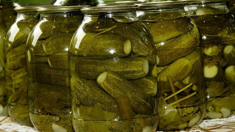 Recipes for making the most delicious cucumbers without vinegar for the winter