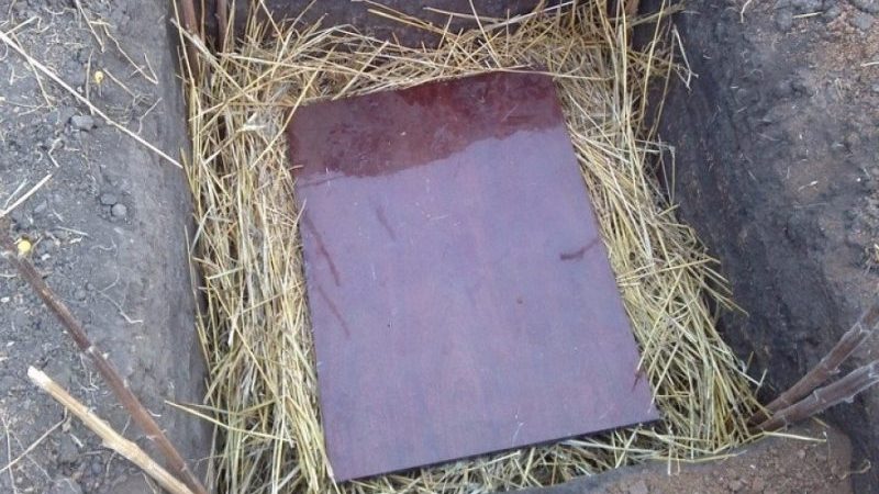 How to properly store potatoes without a cellar in the ground until spring