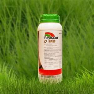 How to Apply Weed Killer Herbicides on Potatoes
